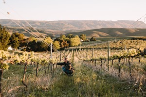 Wine Point - Zuid-Afrikaanse wijnen plaats foto